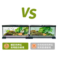 All-Transparent Reptile Terrarium with Ultra-White Glass for Lizards, Turtles, Snakes