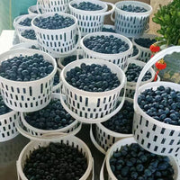 Orchard Fruit Picking Baskets with Handle and Lid for Cherries & Strawberries, 1-2 lb Capacity