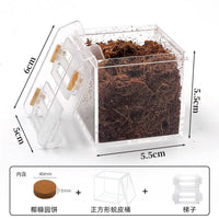 Hermit Crab Molting Tank Built-in Mini Isolation Bucket Anti-disturbance Reptile Pet Shedding Aid Acrylic Box Crab Breeding Box