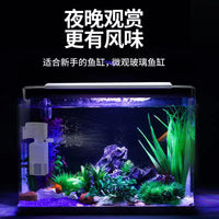 Bent Glass Aquarium Fish Tank for Living Room Desktop Goldfish Aquatic Landscape