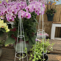 Metal Plant Climbing Trellis for Potted Plants, Rose, Clematis, and Vine Support