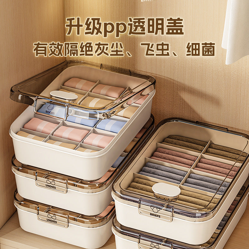Underwear Storage Box with Dividers and Lid for Bras, Socks, and Lingerie