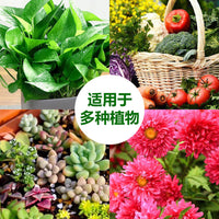 Universal Concentrated Plant Nutrient Solution for Hydroponic Potted Plants and Greenery