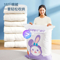 Vacuum Compression Storage Bags for Clothes and Quilts with Electric Pump