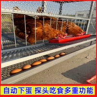 Outdoor Galvanized Steel Chicken Coop with Rain Cover and Nesting Box
