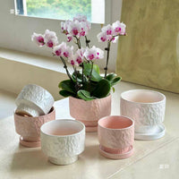 Ceramic Indoor Planter Pot with Drainage Hole for Orchids and Green Plants