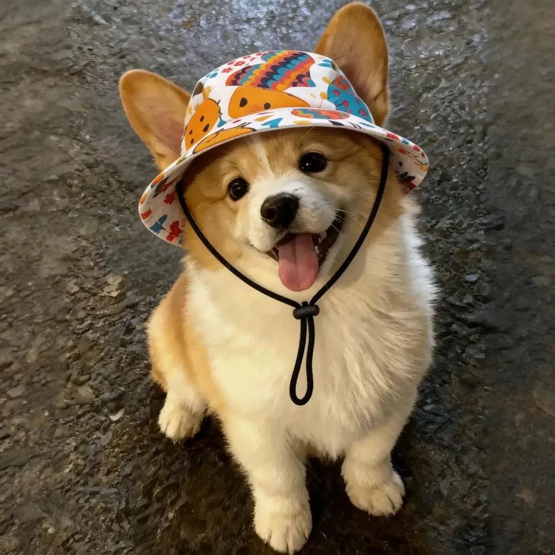 Pet Summer Sun Hat with Ear Holes for Dogs and Cats, Breathable Fisherman Cap