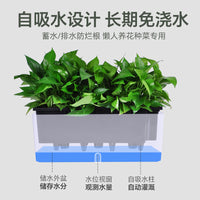 Self-Watering Planter Box with Visible Water Level Indicator for Balcony Vegetable Gardening