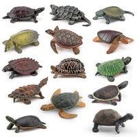 Realistic Amphibious Reptile Turtle Model Figurines for Decoration and Play