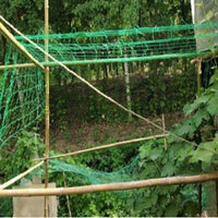 Garden Trellis Netting for Climbing Plants, Cucumber, Grape, Clematis, Bougainvillea, and Vegetables