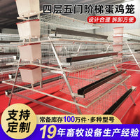 Galvanized Layer Hen Cage with Automatic Manure Removal and Feeding Trough, 3-4 Tiers