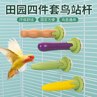 Bird Perch Grinding Stick for Parrots - Natural Wood Claw and Beak Care Toy