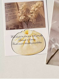 Cute Original Steamed Bun Acrylic Bookmark for Students, High Aesthetic Transparent Reading Marker