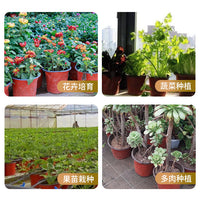 Two-Tone Soft Plastic Nursery Pots for Succulents and Green Plants