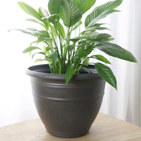 Resin Wood Grain Planter Pot for Indoor Plants