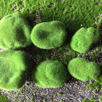 Artificial Flocked Moss Stones for Micro Landscape & Green Wall Decor