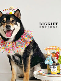 Pet Birthday Party Set with Bandana, Hat, and Number Candle for Cats and Dogs