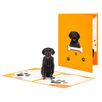 Creative 3D Pop-Up Animal Greeting Cards Handmade Paper Sculpture for Various Occasions