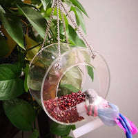 Outdoor Hanging Acrylic Bird Feeder for Wild Birds - Transparent Pet Bird Feeding Station
