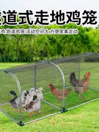 Portable Outdoor Chicken Run and Poultry Enclosure with Netting