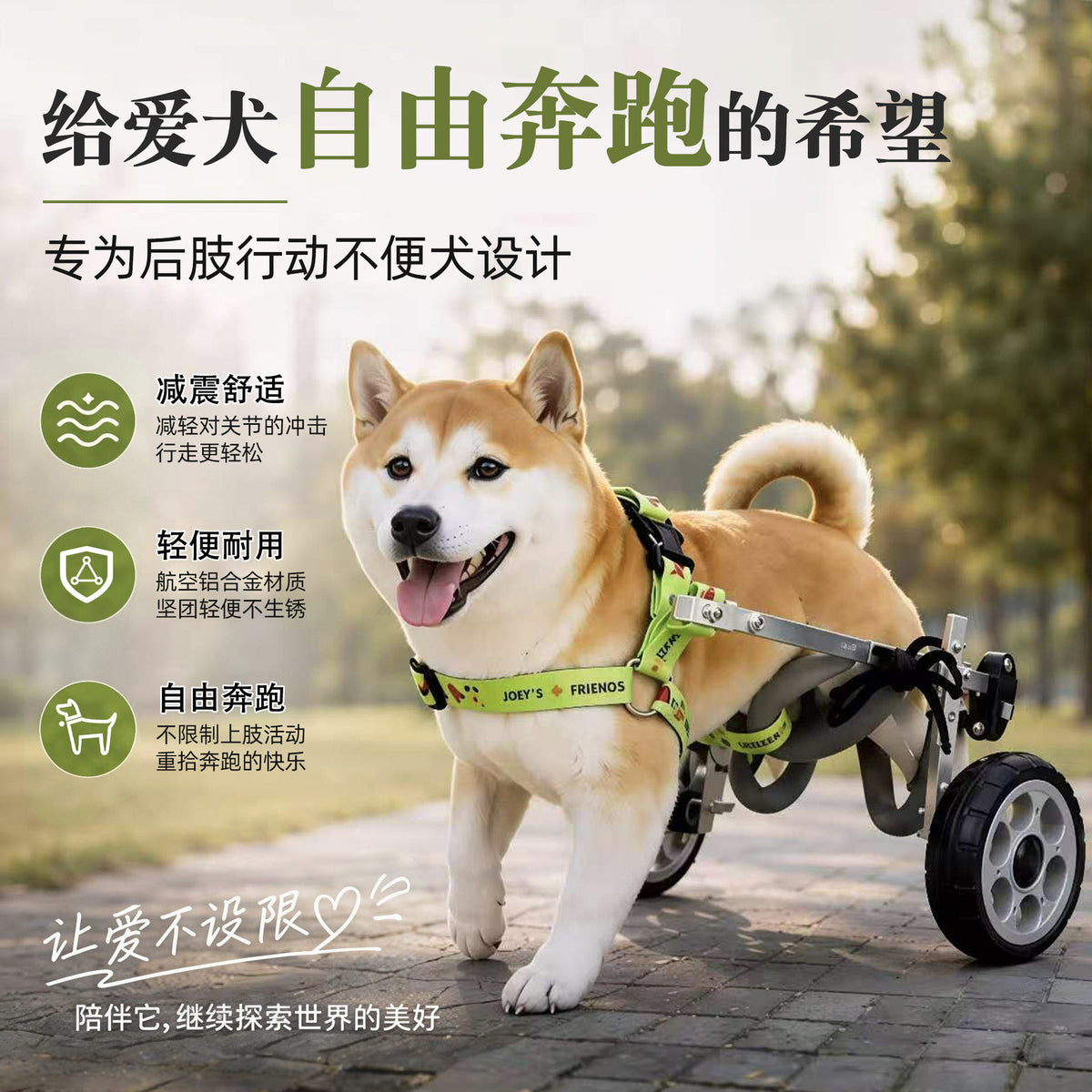 Pet Wheelchair for Hind Leg Support and Rehabilitation