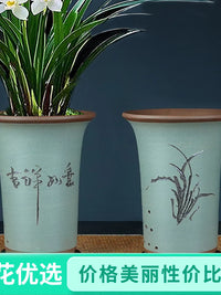 Minimalist Zisha Clay Orchid Pot Handmade Planter for Indoor Plants and Bonsai