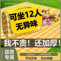 Portable Waterproof Picnic Mat Storage Bag for Outdoor Camping and Spring Outings