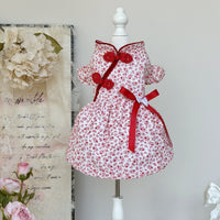 Pet Chinese New Year Princess Dress with Frog Closures for Cats and Dogs