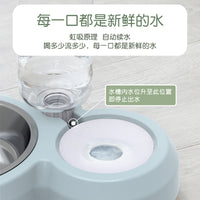 Automatic Water Dispenser Pet Bowl with Double Food Bowls for Cats and Dogs