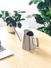Stainless Steel Long Spout Watering Can for Indoor Plants and Succulents, Small Household Potting Kettle