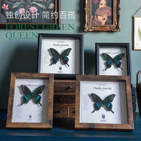 Vintage 3D Deep Shadow Box Frame for Insect Specimen Display & DIY Crafts, 1.8cm Depth