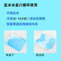 Reusable Ice Pack for Air Conditioners, Pet Cooling, Food Preservation, and Cooler Boxes