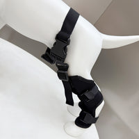 Pet Dog Rear Leg Brace for Joint Protection and Recovery