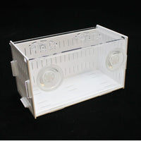 Acrylic Fish Tank Breeding Isolation Box with Lid for Shrimp and Small Fish