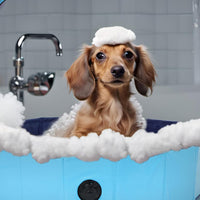 Foldable Pet Swimming Pool Portable Dog Bath Tub