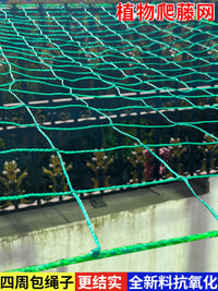 Plant Climbing Netting for Garden Trellis Support, Cucumber Loofah Rose Vine Climbing Plant Grow Net
