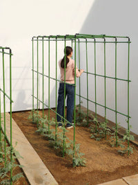 Heavy-Duty Coated Steel Plant Trellis for Climbing Vegetables and Flowers