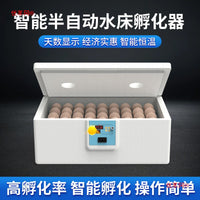 Automatic Smart Egg Incubator for Home Use - Duck, Goose, Pigeon, Quail