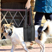 Pet Dog Rear Leg Support Harness for Injured Disabled Senior Dogs Rehabilitation Aid