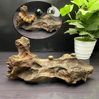 Teak Wood Crystal Ball Seven-Star Array Base with Rhododendron Root Stand
