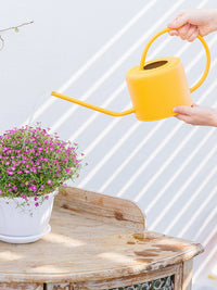 Large Capacity Metal Watering Can with Long Spout for Garden and Indoor Plants