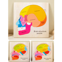 Kids' Wooden Multi-Layer Human Body & Growth Puzzle Educational Toy