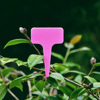 Waterproof Plastic Plant Labels for Gardening, Succulents, Flowers - Pot Name Tags and Green Plant Markers