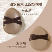 Double-Band Makeup Puff, Soft Wet & Dry Sponge for Foundation, Powder Puffs with Storage Box