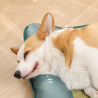 Pet Cooling Mat for Dogs and Cats, Summer Sleep Pad for Kennels and Beds