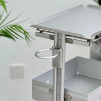 Professional Aluminum Alloy Salon Trolley Cart with Storage and Dryer Holder for Hairdressing and Beauty