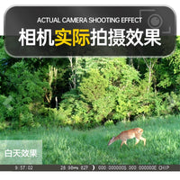BDL808Pro 4K Infrared Trail Camera for Wildlife Monitoring, Night Vision, Time-Lapse Photography, Waterproof