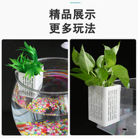 Aquarium Wall-Mounted Planter Basket Hydroponic Holder for Fish Tank Turtle Tank