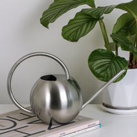 Stainless Steel Watering Can for Indoor Plants & Garden, 1000ML
