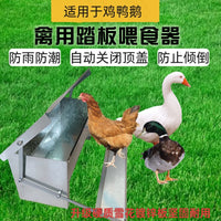 Automatic Treadle Chicken Feeder, Rainproof Anti-Theft Poultry Food Trough